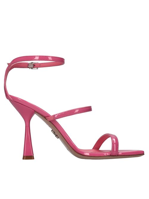  SERGIO LEVANTESI | TELEN23 PAINTROSA